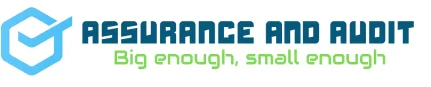 Assurance Services LOGO